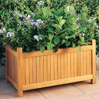 �����Ԕ����B