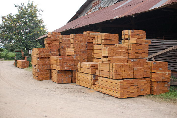 �c���鿴ULINľ�ķŴ�DƬ