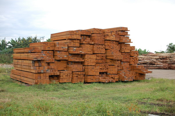 �c���鿴����ľ�ķŴ�DƬ