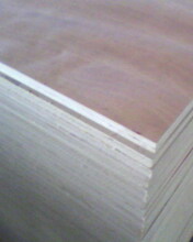 2.0cm�z�ϰ��Ԕ����B