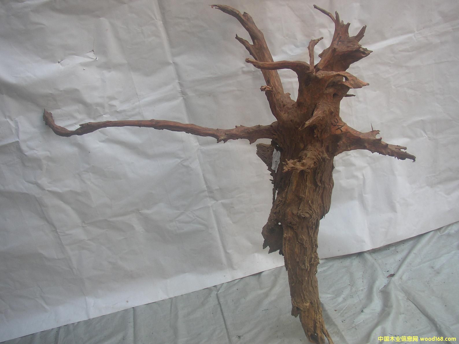 �����S����34#