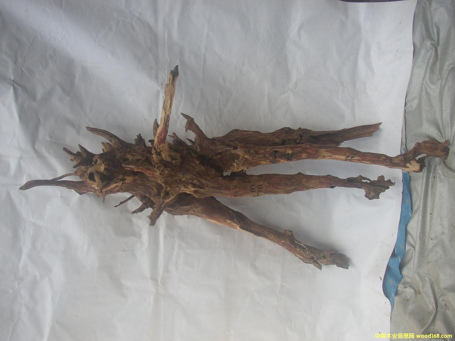 �����S����33#