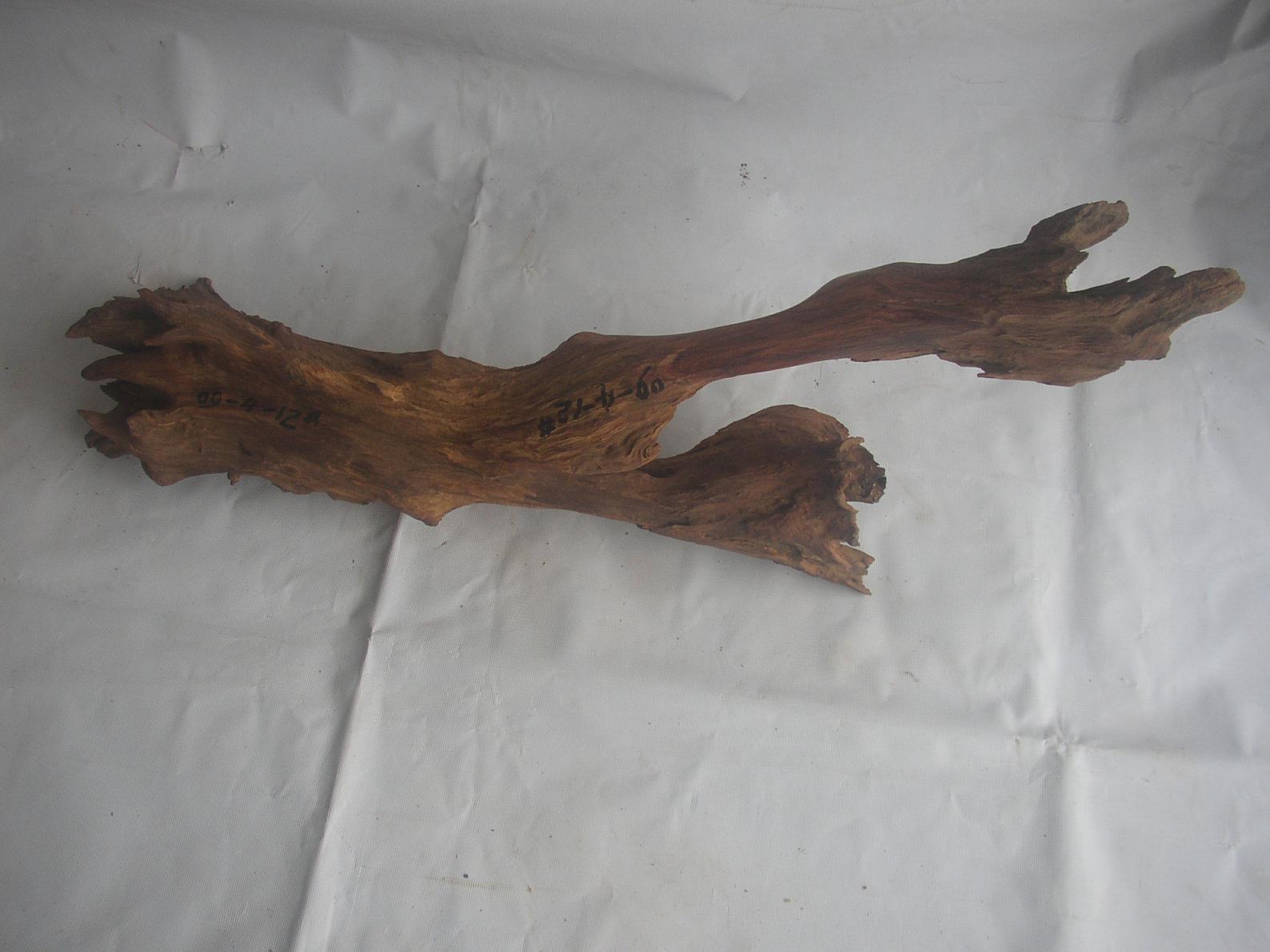 �����S����09-4-12#