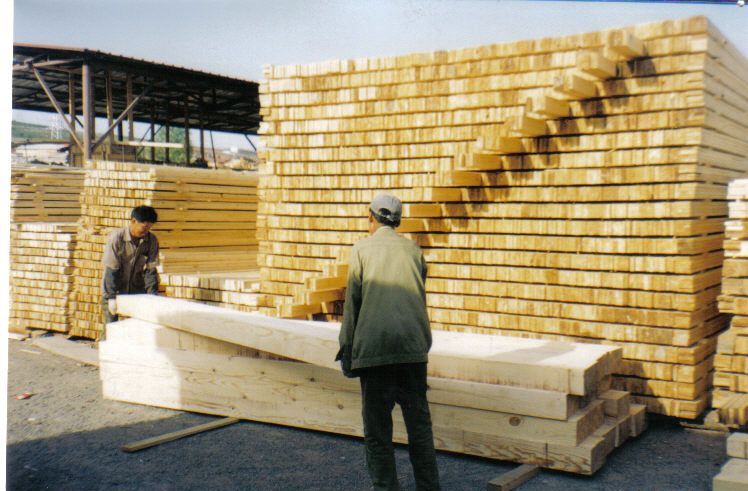 ����ľ���ϣ�����ľë�ϵ�Ԕ����B