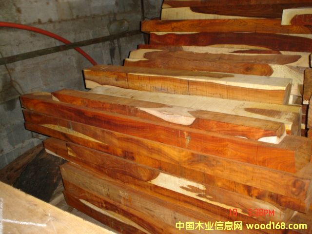 �t��֦��Ԕ����B