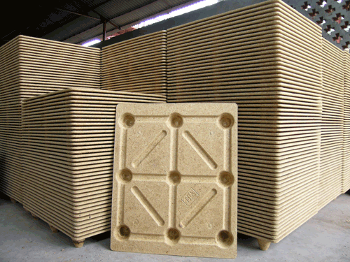 ģ�����I(y��)�бP(p��n)��Ԕ��(x��)��B