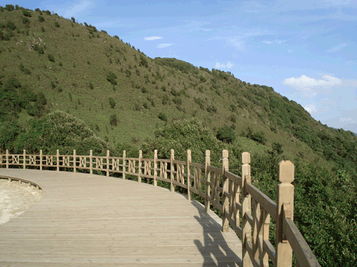 ����ľ��Ԕ��(x��)��B