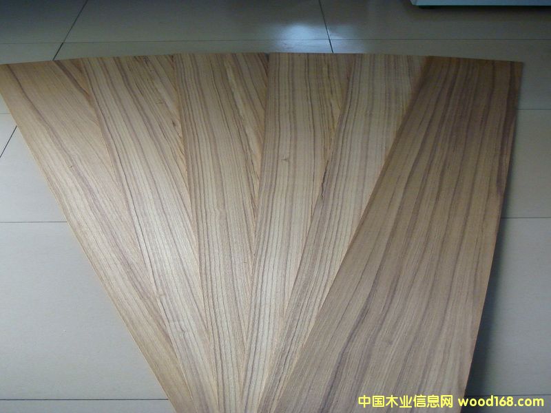 ��ľ�ΰ��Ԕ����B