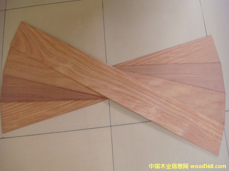 �t̴��ΰ��Ԕ����B