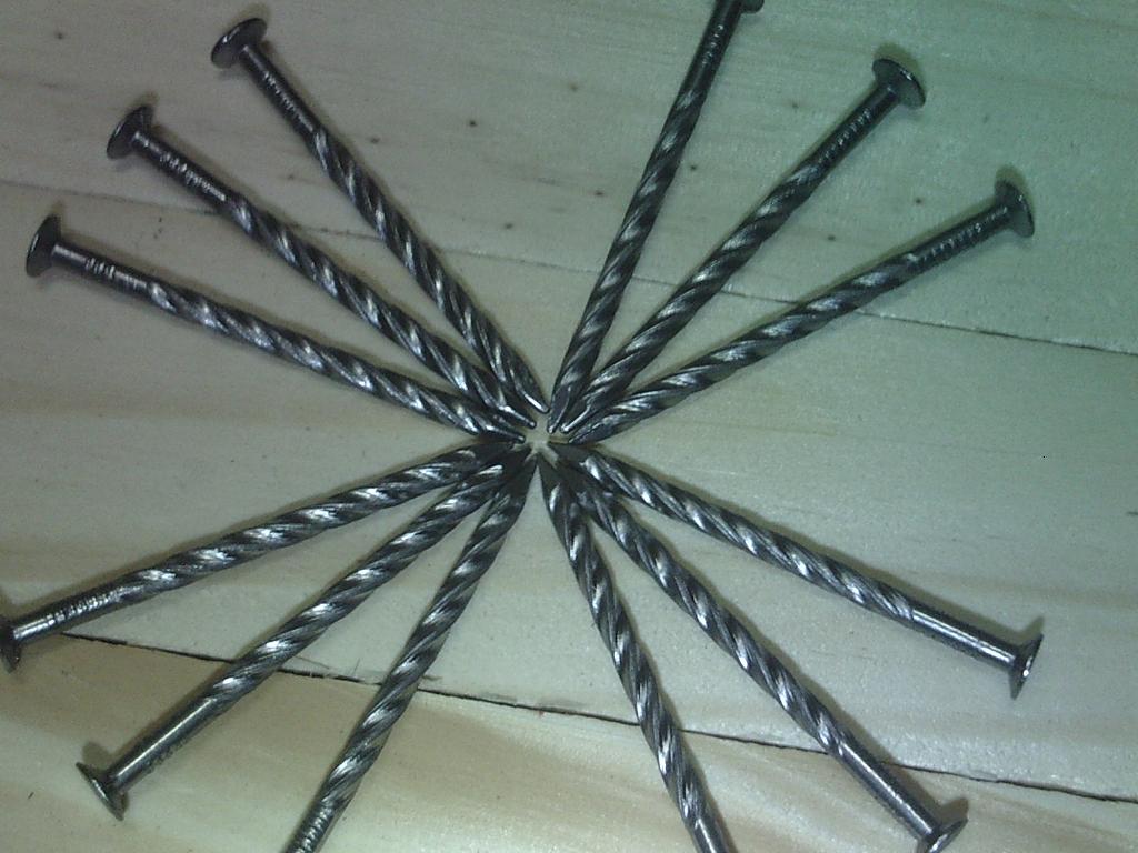 ľ�бP�����