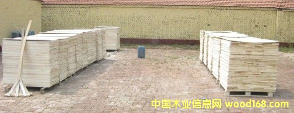 Ư�� ���Ʒ��Ԕ����B