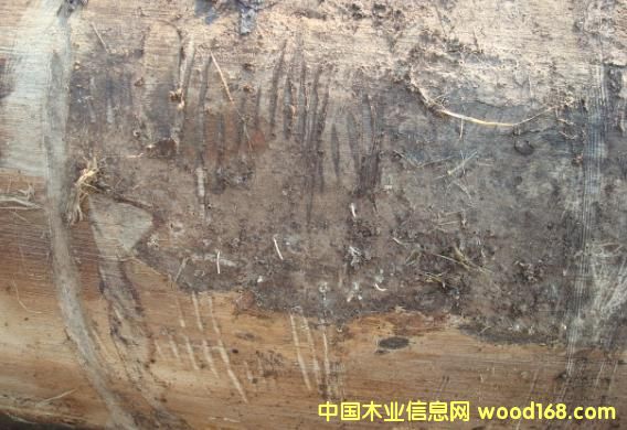 �����Ԕ����B