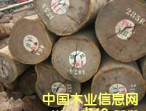 ����Ī����(Afrormosia)��Ԕ����B