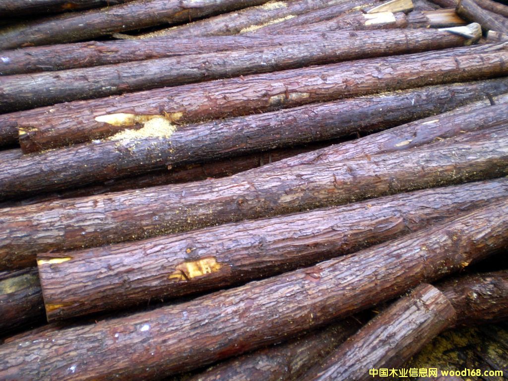 ɼľ��Ԕ����B