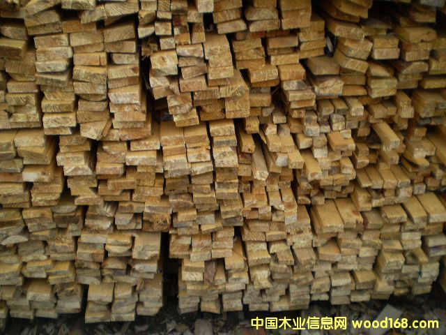 ľ�塢ľ����Ԕ����B