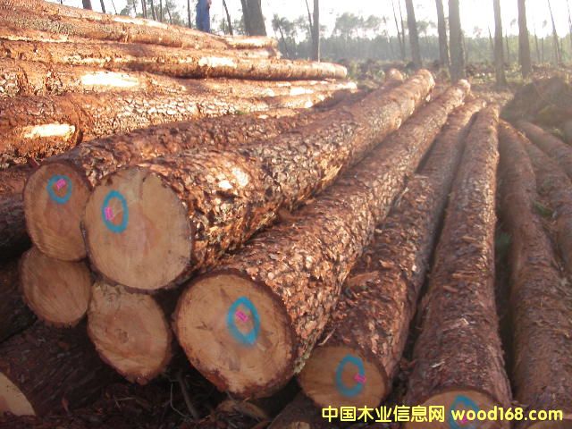 �����ɵ�Ԕ����B