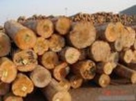 ���ޣ������mݗ����ԭľ��Ԕ����B