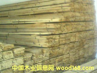 ľ���ǵ�Ԕ����B