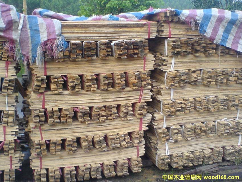 ľ���Ԕ����B