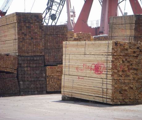 ���~��ľ��