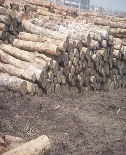 ݗ����K��