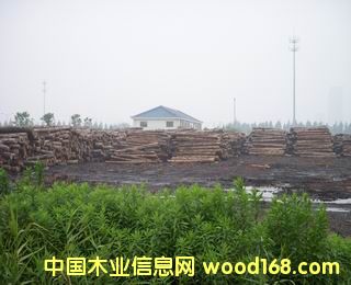 ���ؽ���ľ��