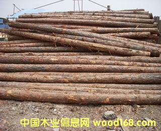 ���~��С�U