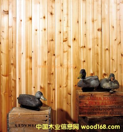 ɼľ�X�Ӱ壨���ɲĈD��