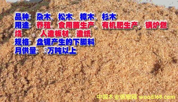 �ľм��Ԕ����B