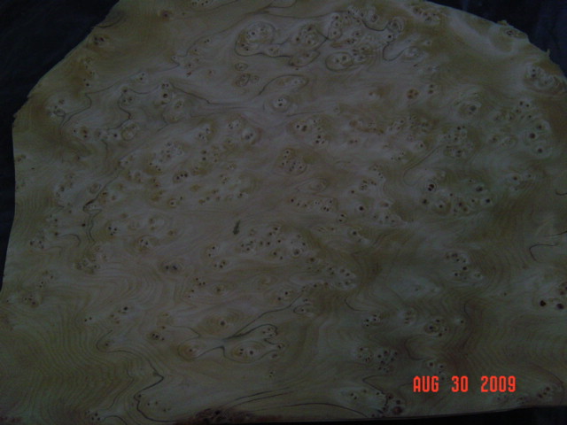 ɼľȸ�۵�Ԕ��(x��)��B