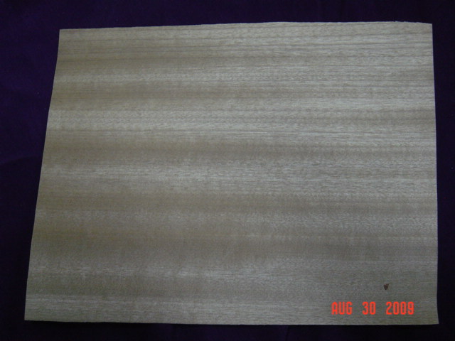 ��z��ľƤ��Ԕ��(x��)��B