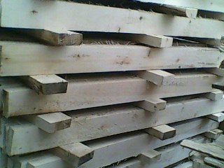 [��] ľ��ľ��ľ��ľ�lľƬľ��