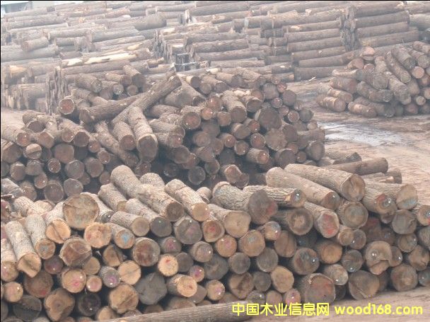 ԭľ��Ԕ����B