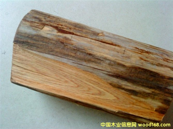 �S�����Ԕ����B