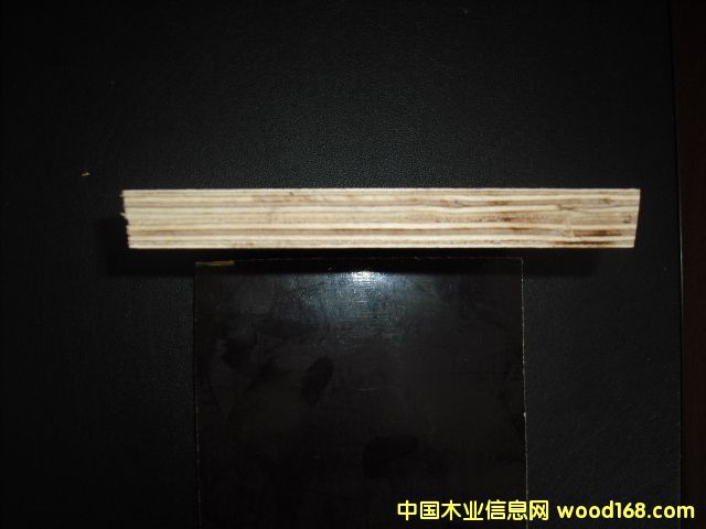 �����D���N����ֵ�Ԕ����B