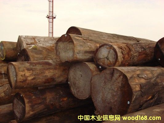 �����һ�оԭľ��Ԕ����B