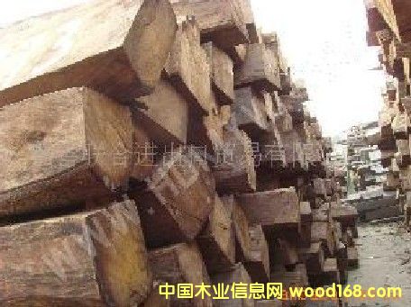 ������ľ����Ԕ����B