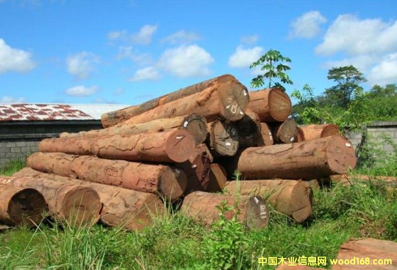 �p���Kľ��Ԕ����B