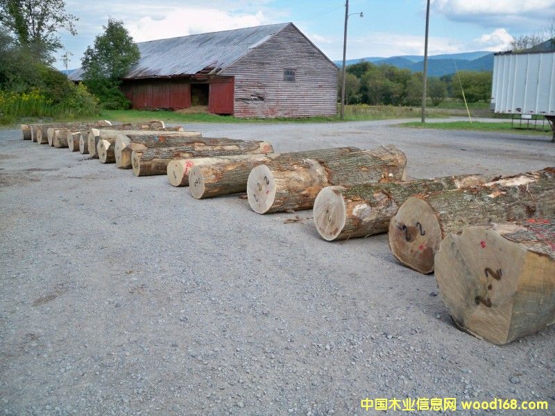 �t��ԭľ��Ԕ����B