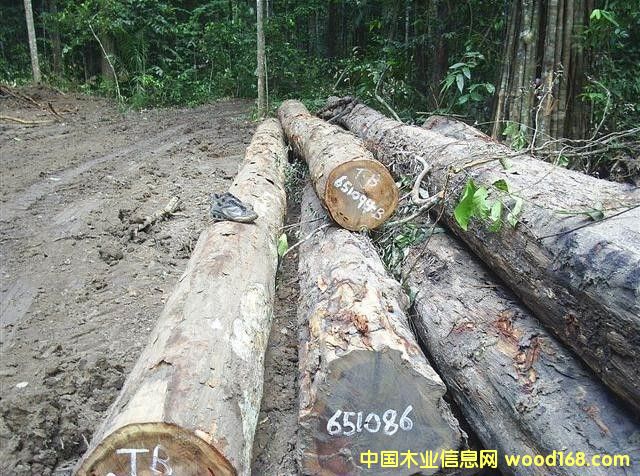 ���P̴ԭľ��Ԕ����B