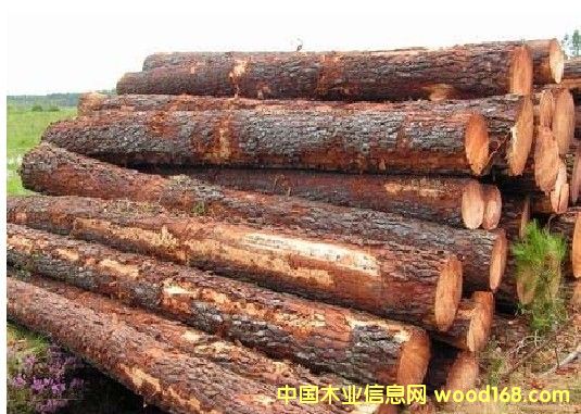 ���������ɵ�Ԕ����B