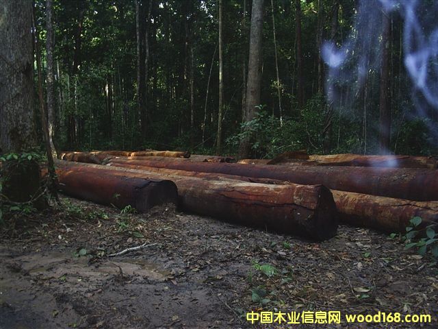 �����Kľ��Ԕ����B