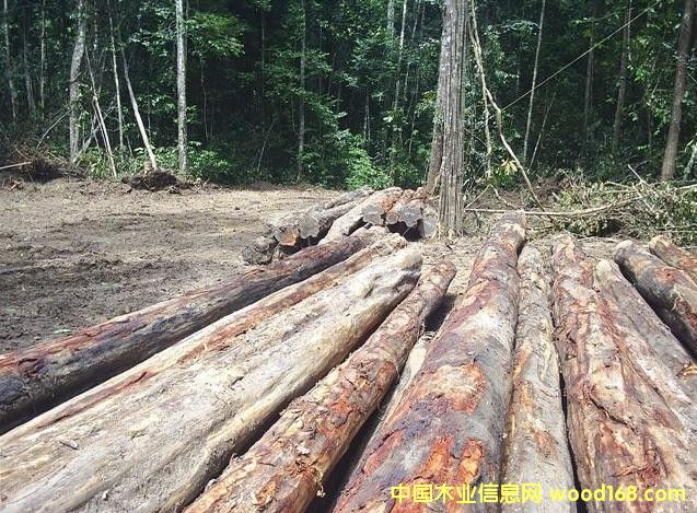 �Fľ����Ԕ����B