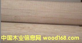 �c���鿴ľ�@����怰ѷŴ�DƬ