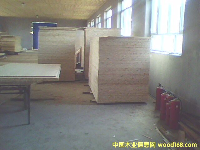 ��ľ����Ԕ����B