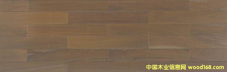 ��̴��Ԕ����B