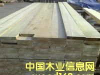 ����ľ��Ԕ����B