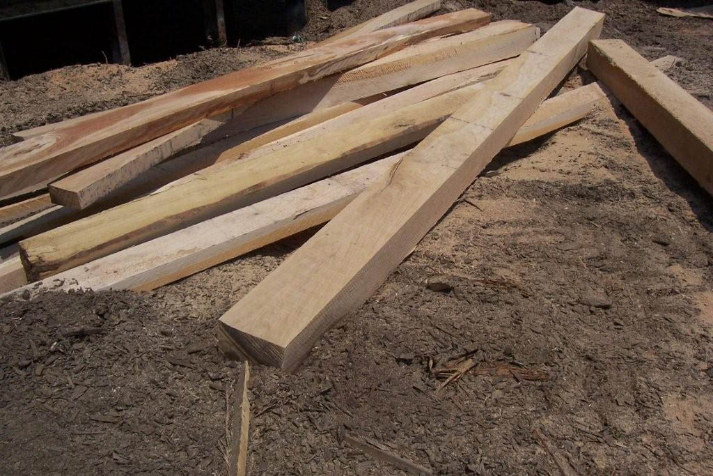 �c���鿴�����t��ľ�Ŵ�DƬ