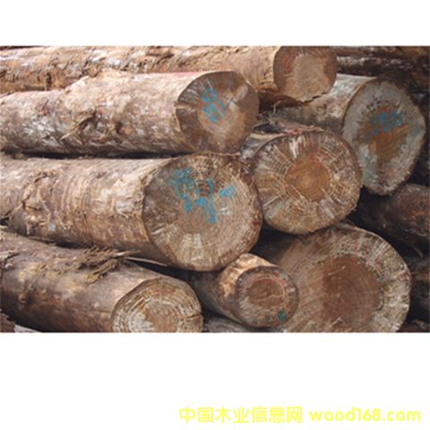 K��ݗ����ԭľ��Ԕ����B