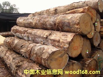 A��ݗ����ԭľ��Ԕ����B